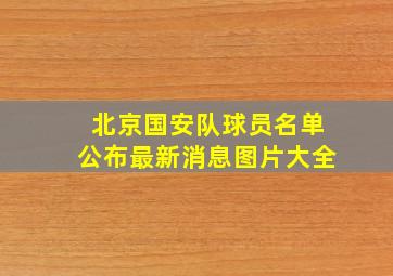 北京国安队球员名单公布最新消息图片大全