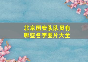 北京国安队队员有哪些名字图片大全