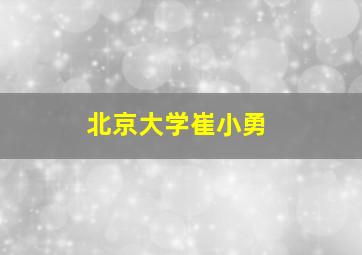 北京大学崔小勇