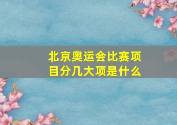 北京奥运会比赛项目分几大项是什么