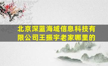 北京深蓝海域信息科技有限公司王振宇老家哪里的