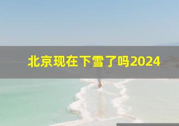 北京现在下雪了吗2024