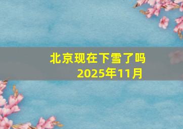 北京现在下雪了吗2025年11月