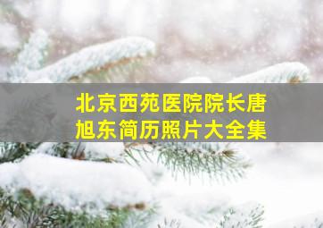 北京西苑医院院长唐旭东简历照片大全集