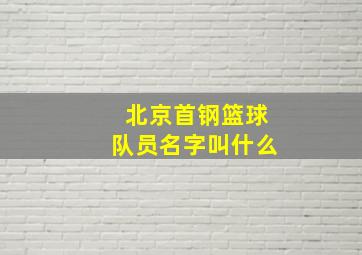 北京首钢篮球队员名字叫什么