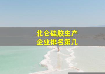 北仑硅胶生产企业排名第几