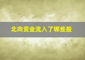 北向资金流入了哪些股