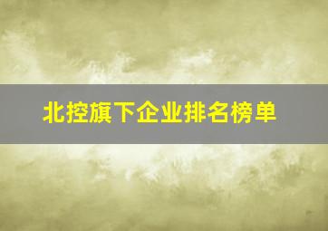 北控旗下企业排名榜单