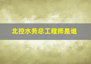 北控水务总工程师是谁