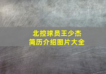 北控球员王少杰简历介绍图片大全