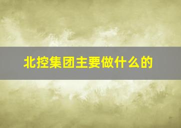 北控集团主要做什么的