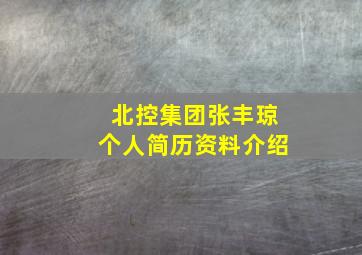 北控集团张丰琼个人简历资料介绍