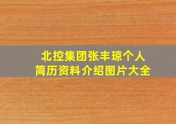 北控集团张丰琼个人简历资料介绍图片大全