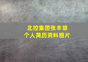 北控集团张丰琼个人简历资料图片