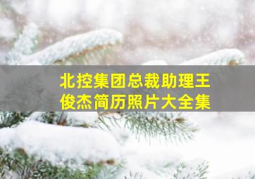 北控集团总裁助理王俊杰简历照片大全集