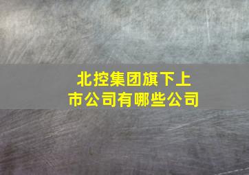 北控集团旗下上市公司有哪些公司