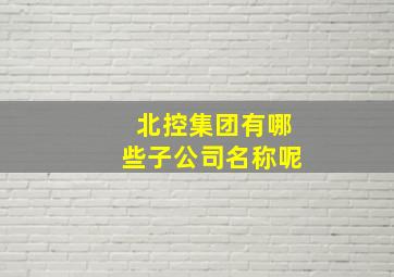 北控集团有哪些子公司名称呢