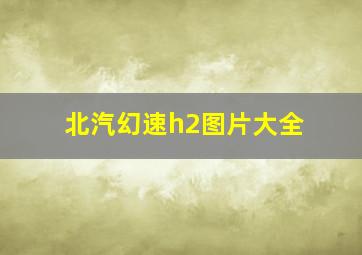 北汽幻速h2图片大全