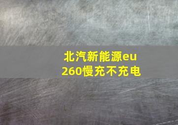 北汽新能源eu260慢充不充电