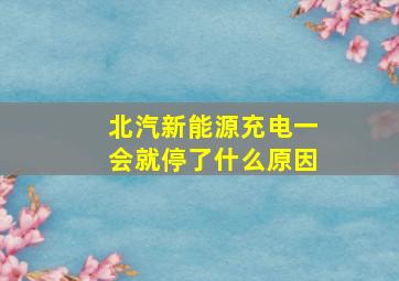 北汽新能源充电一会就停了什么原因