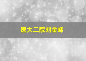 医大二院刘金峰