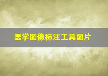 医学图像标注工具图片