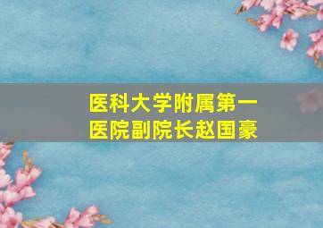 医科大学附属第一医院副院长赵国豪