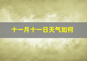 十一月十一日天气如何