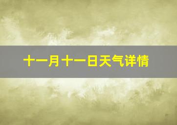 十一月十一日天气详情