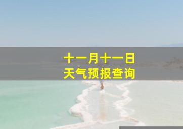 十一月十一日天气预报查询