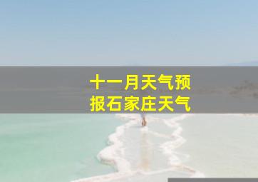 十一月天气预报石家庄天气