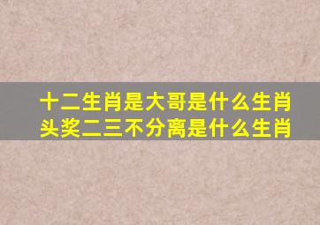 十二生肖是大哥是什么生肖头奖二三不分离是什么生肖