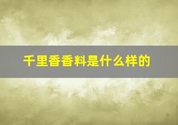 千里香香料是什么样的