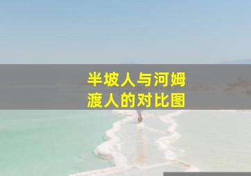 半坡人与河姆渡人的对比图