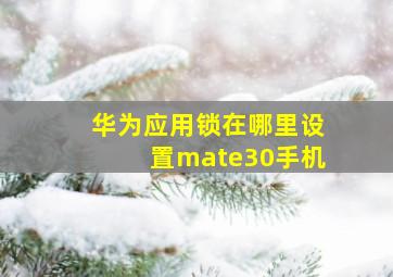 华为应用锁在哪里设置mate30手机