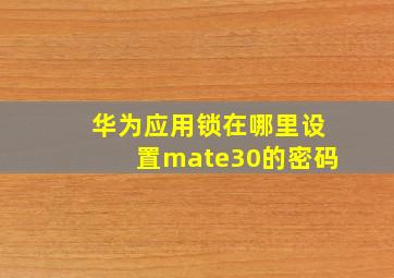 华为应用锁在哪里设置mate30的密码