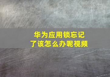 华为应用锁忘记了该怎么办呢视频