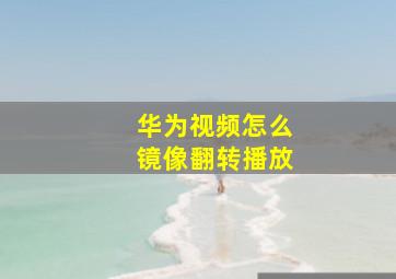 华为视频怎么镜像翻转播放