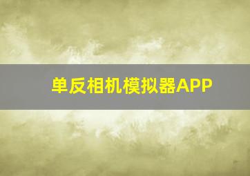 单反相机模拟器APP