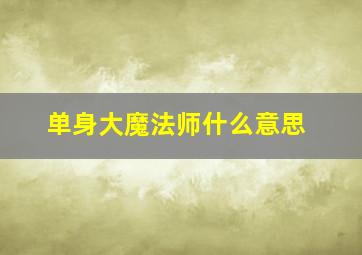 单身大魔法师什么意思