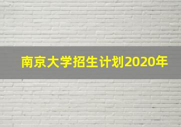 南京大学招生计划2020年