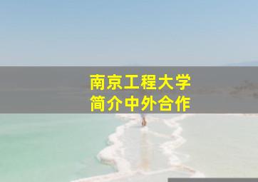 南京工程大学简介中外合作