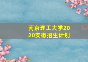 南京理工大学2020安徽招生计划