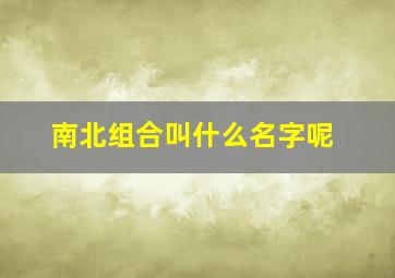 南北组合叫什么名字呢