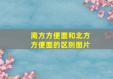 南方方便面和北方方便面的区别图片