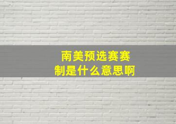 南美预选赛赛制是什么意思啊