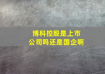 博科控股是上市公司吗还是国企啊