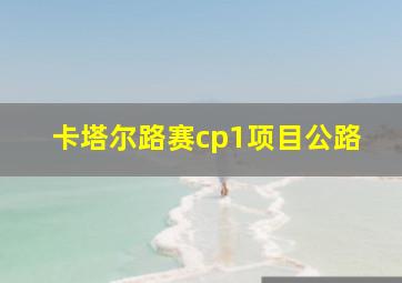 卡塔尔路赛cp1项目公路