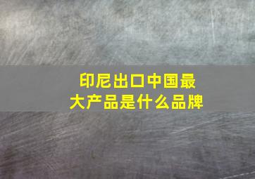 印尼出口中国最大产品是什么品牌