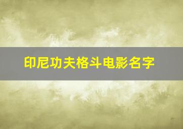 印尼功夫格斗电影名字